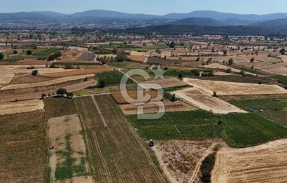 Çanakkale Yenice Gündoğdu Köyünde 4.829 M² Satılık Tarla !