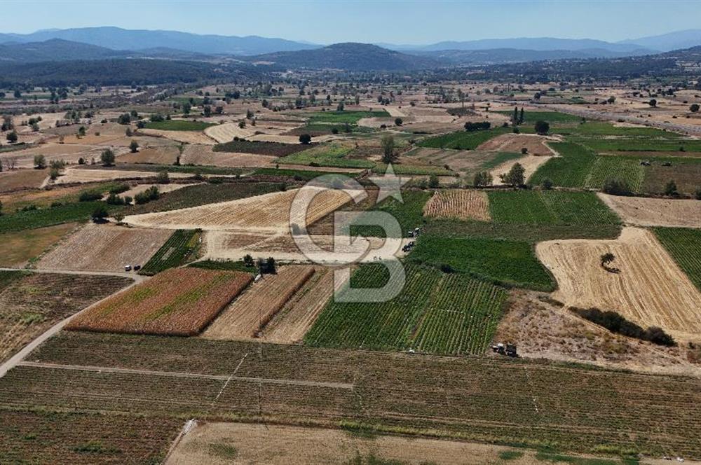 Çanakkale Yenice Gündoğdu Köyünde 4.829 M² Satılık Tarla !
