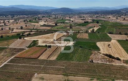 Çanakkale Yenice Gündoğdu Köyünde 4.829 M² Satılık Tarla !