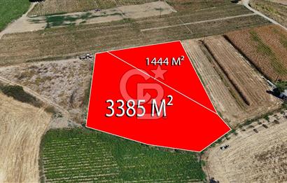 Çanakkale Yenice Gündoğdu Köyünde 4.829 M² Satılık Tarla !