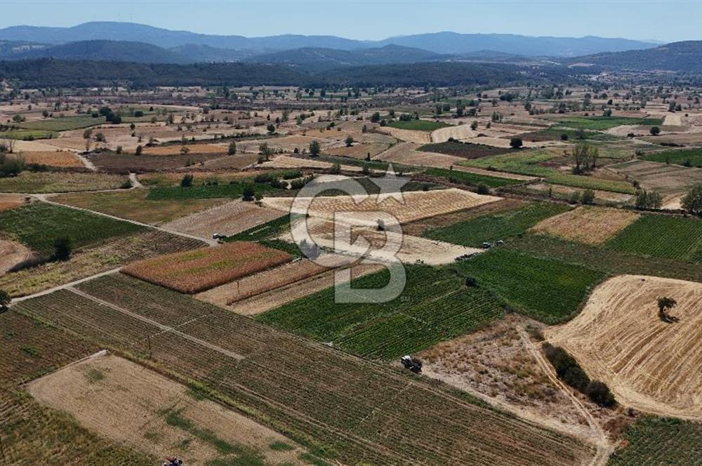 Çanakkale Yenice Gündoğdu Köyünde 4.829 M² Satılık Tarla !