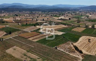 Çanakkale Yenice Gündoğdu Köyünde 4.829 M² Satılık Tarla !