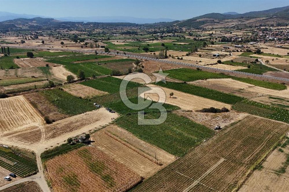 Çanakkale Yenice Gündoğdu Köyünde 4.829 M² Satılık Tarla !