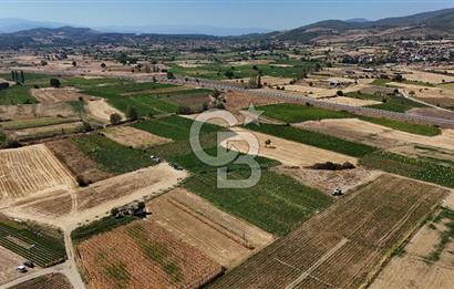 Çanakkale Yenice Gündoğdu Köyünde 4.829 M² Satılık Tarla !