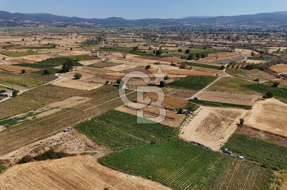 Çanakkale Yenice Gündoğdu Köyünde 4.829 M² Satılık Tarla !