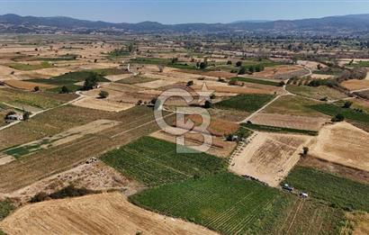 Çanakkale Yenice Gündoğdu Köyünde 4.829 M² Satılık Tarla !