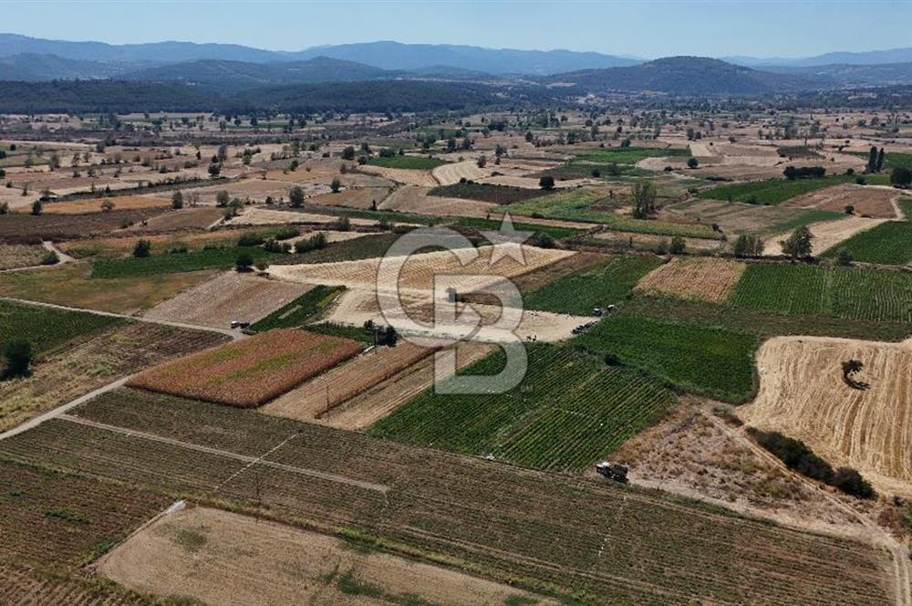 Çanakkale Yenice Gündoğdu Köyünde 4.829 M² Satılık Tarla !