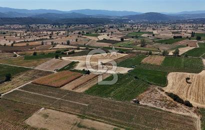 Çanakkale Yenice Gündoğdu Köyünde 4.829 M² Satılık Tarla !