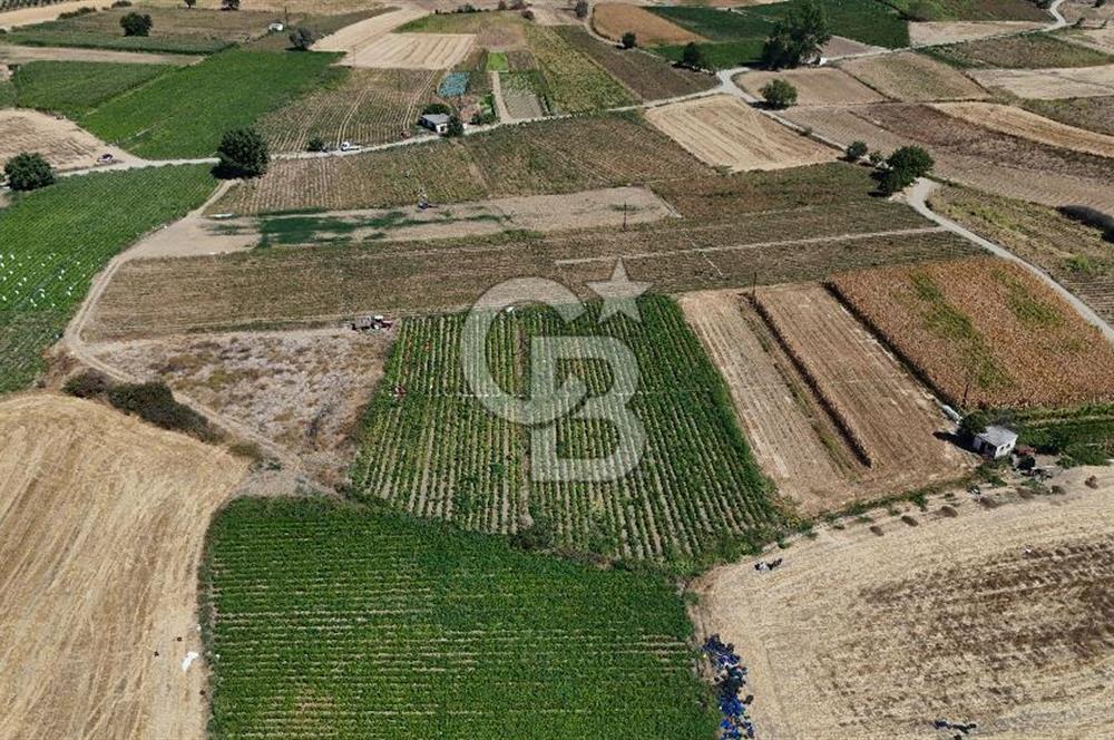 Çanakkale Yenice Gündoğdu Köyünde 4.829 M² Satılık Tarla !