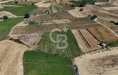 Çanakkale Yenice Gündoğdu Köyünde 4.829 M² Satılık Tarla !