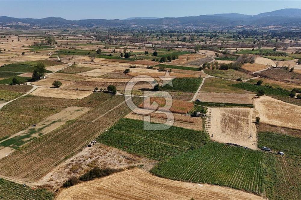 Çanakkale Yenice Gündoğdu Köyünde 4.829 M² Satılık Tarla !