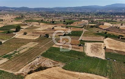 Çanakkale Yenice Gündoğdu Köyünde 4.829 M² Satılık Tarla !