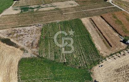 Çanakkale Yenice Gündoğdu Köyünde 4.829 M² Satılık Tarla !