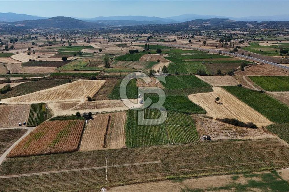 Çanakkale Yenice Gündoğdu Köyünde 4.829 M² Satılık Tarla !