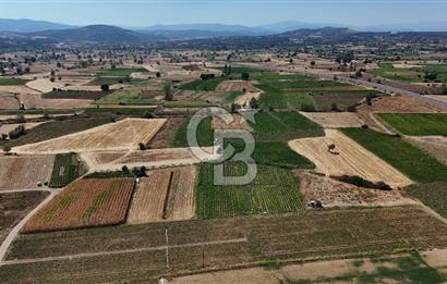 Çanakkale Yenice Gündoğdu Köyünde 4.829 M² Satılık Tarla !