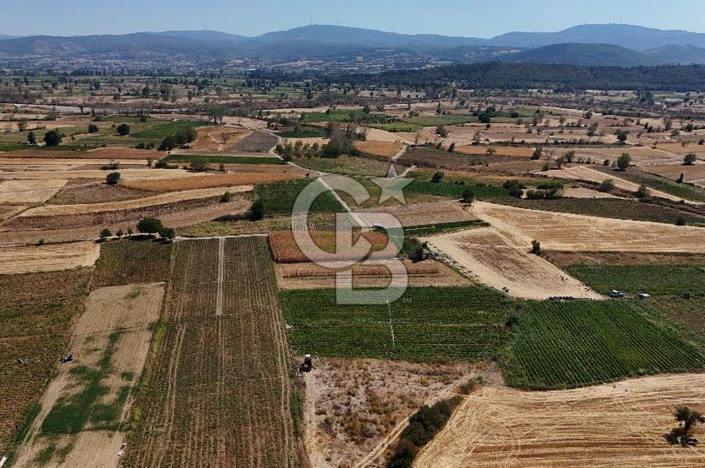 Çanakkale Yenice Gündoğdu Köyünde 4.829 M² Satılık Tarla !
