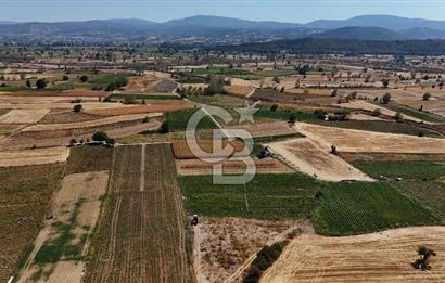 Çanakkale Yenice Gündoğdu Köyünde 4.829 M² Satılık Tarla !