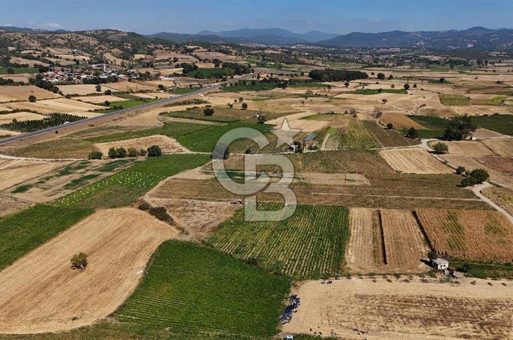 Çanakkale Yenice Gündoğdu Köyünde 4.829 M² Satılık Tarla !