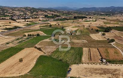 Çanakkale Yenice Gündoğdu Köyünde 4.829 M² Satılık Tarla !
