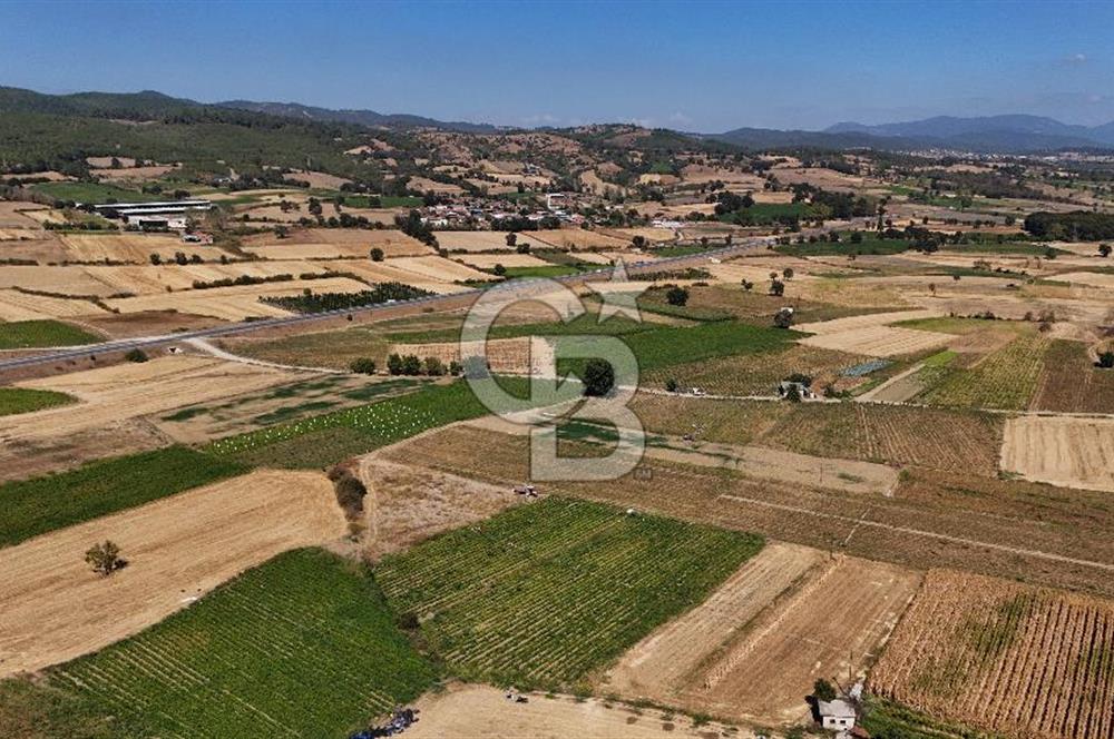 Çanakkale Yenice Gündoğdu Köyünde 4.829 M² Satılık Tarla !