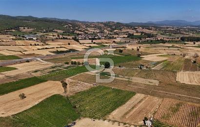 Çanakkale Yenice Gündoğdu Köyünde 4.829 M² Satılık Tarla !