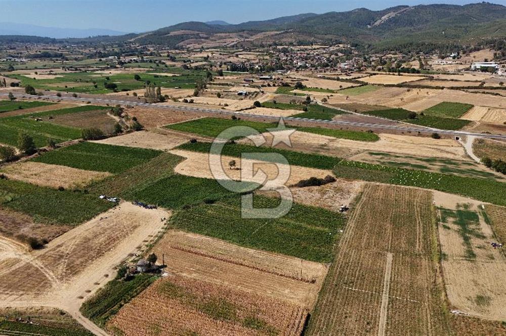 Çanakkale Yenice Gündoğdu Köyünde 4.829 M² Satılık Tarla !