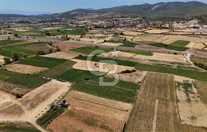 Çanakkale Yenice Gündoğdu Köyünde 4.829 M² Satılık Tarla !