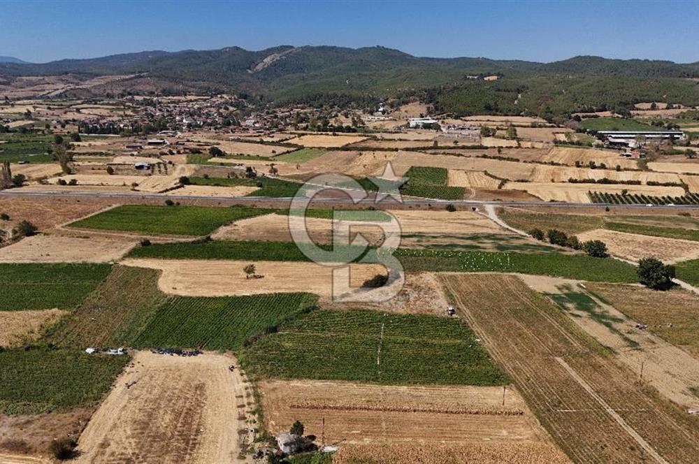 Çanakkale Yenice Gündoğdu Köyünde 4.829 M² Satılık Tarla !