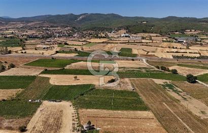 Çanakkale Yenice Gündoğdu Köyünde 4.829 M² Satılık Tarla !