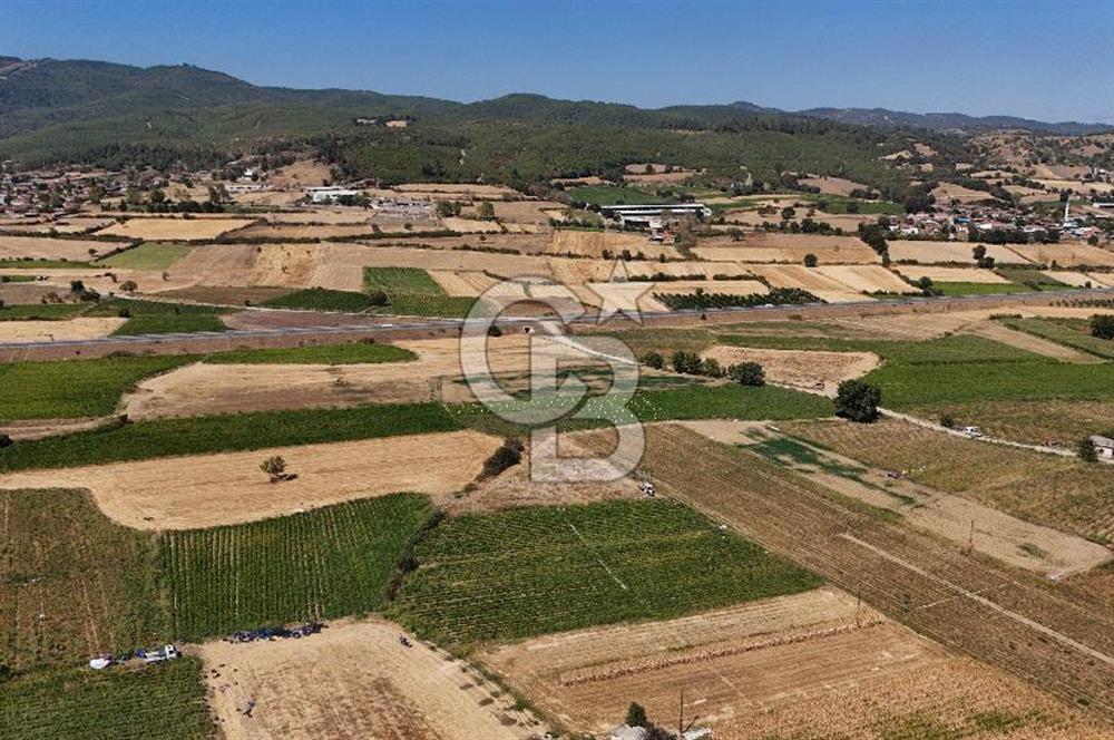 Çanakkale Yenice Gündoğdu Köyünde 4.829 M² Satılık Tarla !