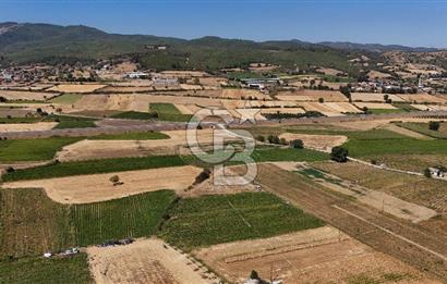Çanakkale Yenice Gündoğdu Köyünde 4.829 M² Satılık Tarla !