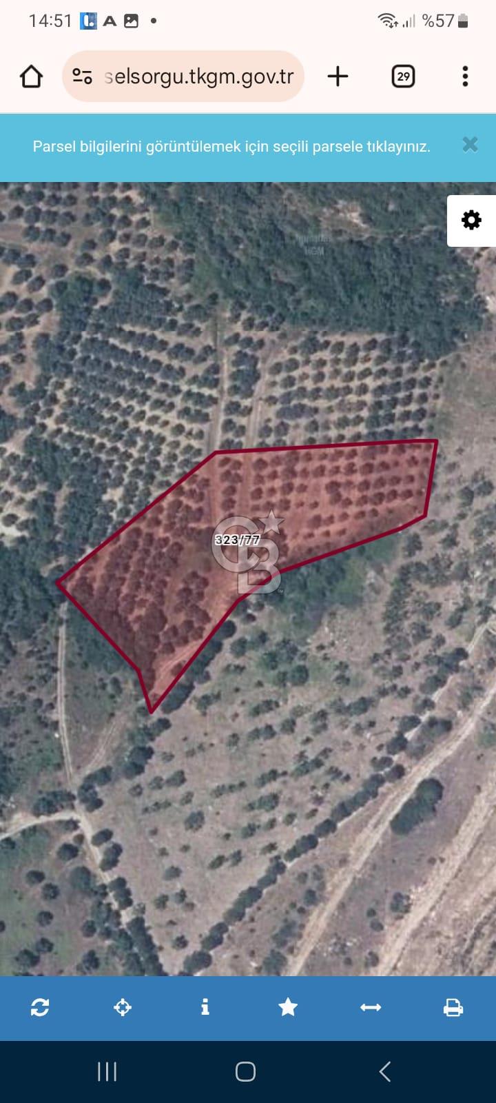 Erdek Atatürk Mahallesinde Satılık Tek Tapu Tarla 