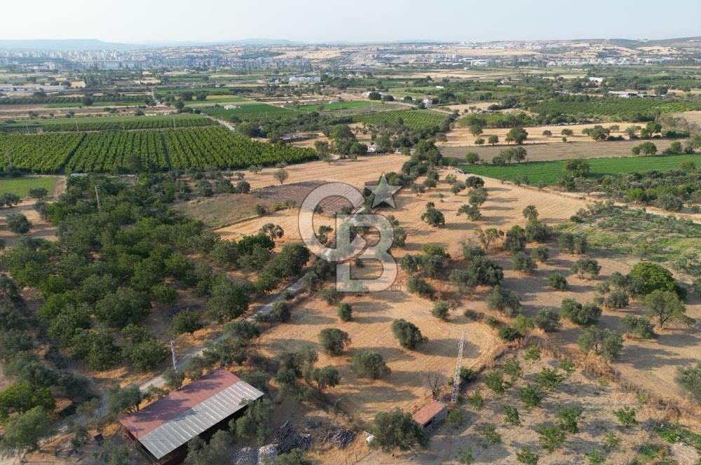 ÇANAKKALE,MERKEZ,SARICAELİ KÖYÜNDE ÇİFT YOLA CEPHE SATILIK TARLA