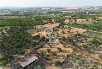 ÇANAKKALE,MERKEZ,SARICAELİ KÖYÜNDE ÇİFT YOLA CEPHE SATILIK TARLA