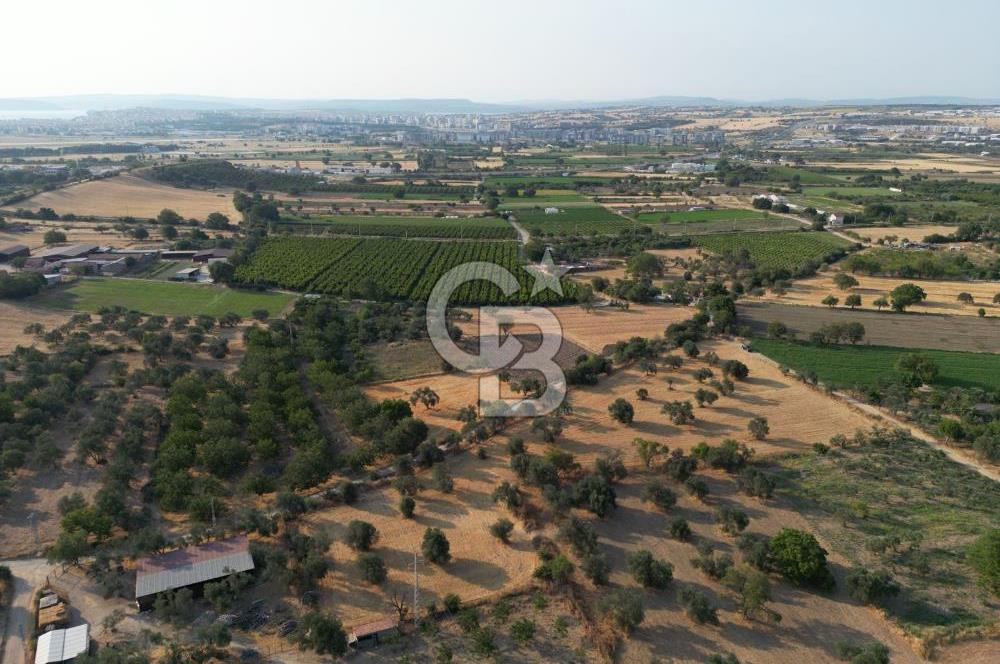 ÇANAKKALE,MERKEZ,SARICAELİ KÖYÜNDE ÇİFT YOLA CEPHE SATILIK TARLA