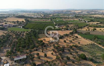 ÇANAKKALE,MERKEZ,SARICAELİ KÖYÜNDE ÇİFT YOLA CEPHE SATILIK TARLA