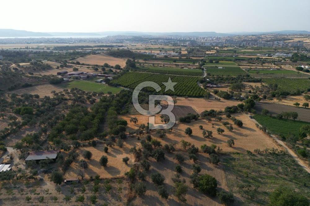 ÇANAKKALE,MERKEZ,SARICAELİ KÖYÜNDE ÇİFT YOLA CEPHE SATILIK TARLA