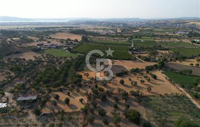 ÇANAKKALE,MERKEZ,SARICAELİ KÖYÜNDE ÇİFT YOLA CEPHE SATILIK TARLA