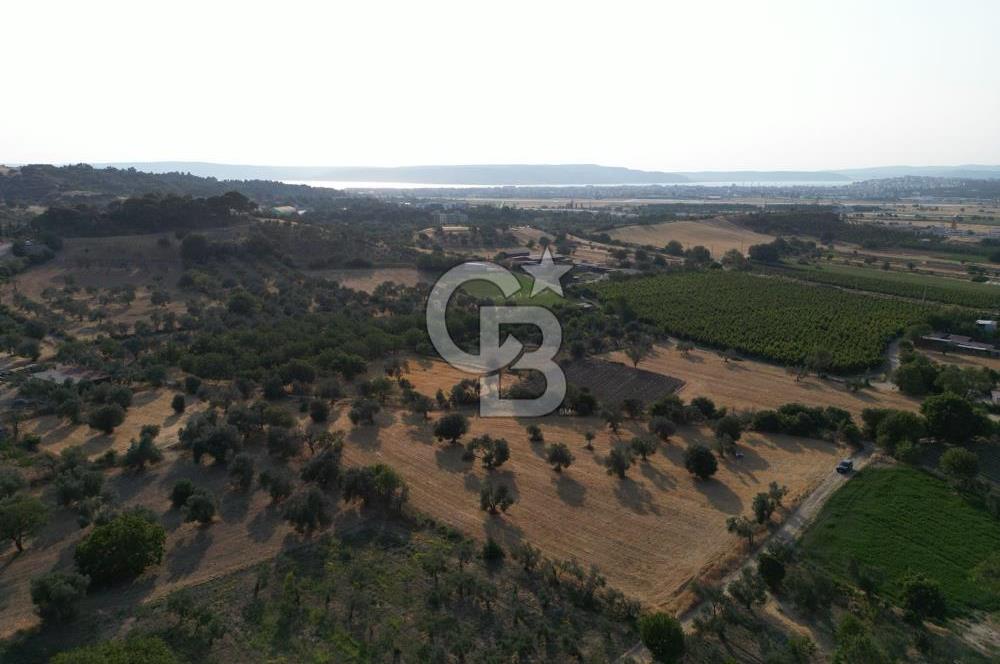 ÇANAKKALE,MERKEZ,SARICAELİ KÖYÜNDE ÇİFT YOLA CEPHE SATILIK TARLA