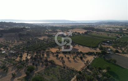 ÇANAKKALE,MERKEZ,SARICAELİ KÖYÜNDE ÇİFT YOLA CEPHE SATILIK TARLA