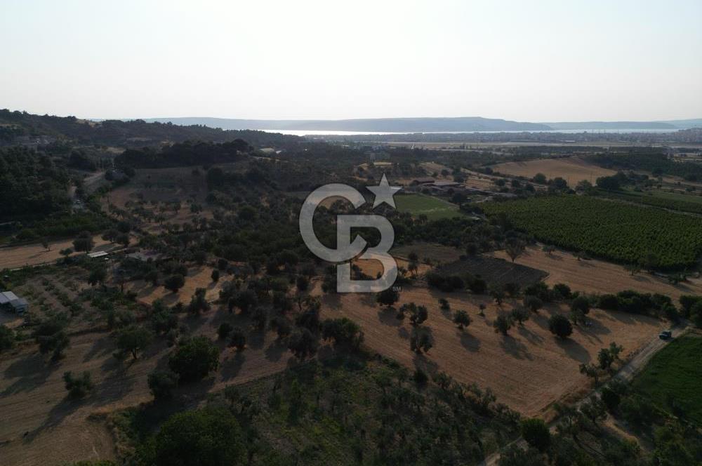 ÇANAKKALE,MERKEZ,SARICAELİ KÖYÜNDE ÇİFT YOLA CEPHE SATILIK TARLA