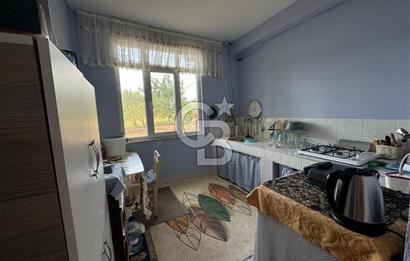 ÇANAKKALE, AYVACIK, KÖSÖDERE KÖYÜ'NDE SATILIK ÇİFTLİK EVİ,ARAZİ