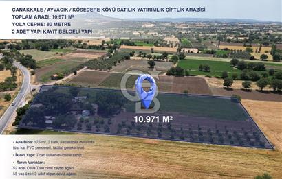 ÇANAKKALE, AYVACIK, KÖSÖDERE KÖYÜ'NDE SATILIK ÇİFTLİK EVİ,ARAZİ