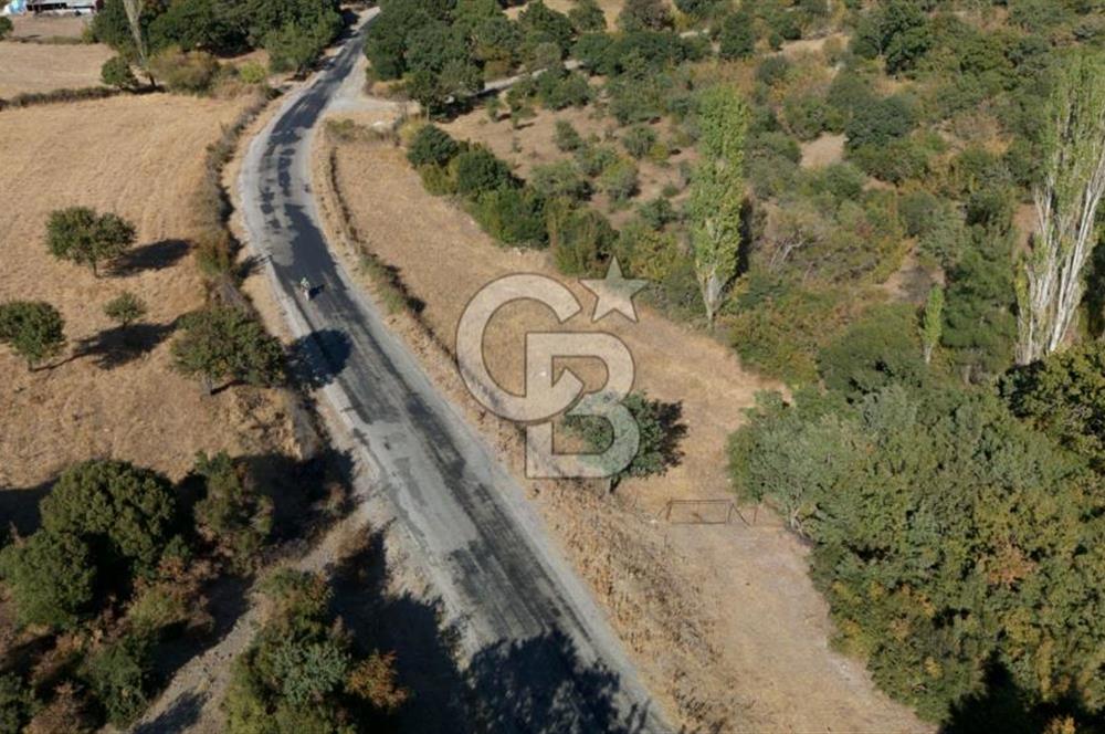 ÇANAKKALE, AYVACIK, KÜÇÜKHUSUN KÖYÜNDE ASFALTA CEPHE TARLA