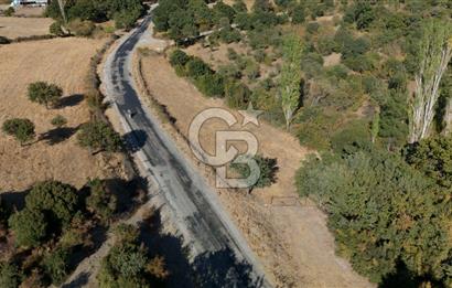 ÇANAKKALE, AYVACIK, KÜÇÜKHUSUN KÖYÜNDE ASFALTA CEPHE TARLA