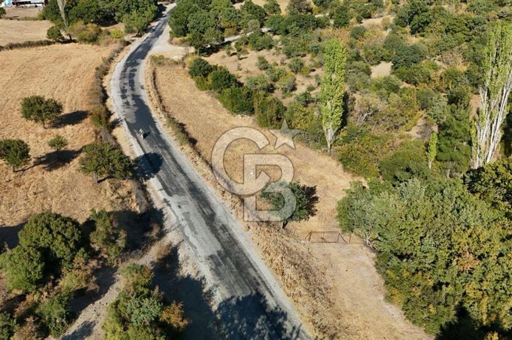 ÇANAKKALE, AYVACIK, KÜÇÜKHUSUN KÖYÜNDE ASFALTA CEPHE TARLA