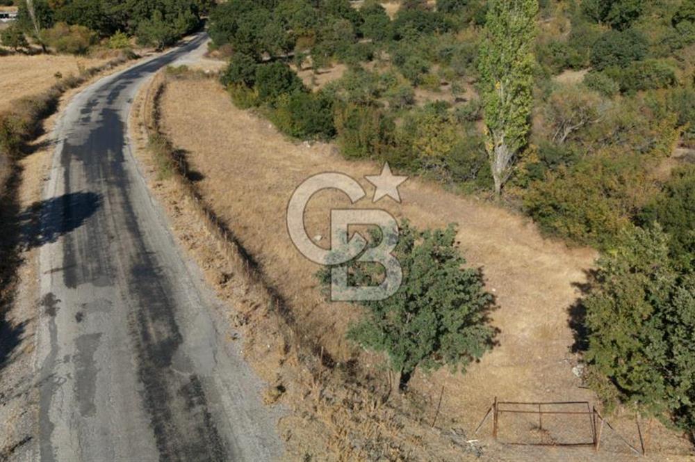ÇANAKKALE, AYVACIK, KÜÇÜKHUSUN KÖYÜNDE ASFALTA CEPHE TARLA