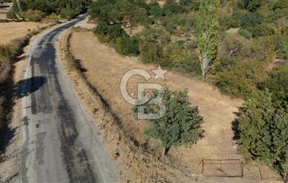 ÇANAKKALE, AYVACIK, KÜÇÜKHUSUN KÖYÜNDE ASFALTA CEPHE TARLA