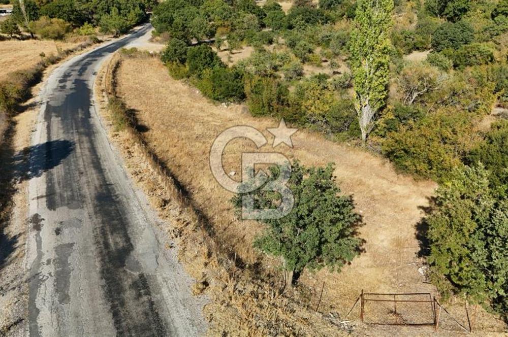 ÇANAKKALE, AYVACIK, KÜÇÜKHUSUN KÖYÜNDE ASFALTA CEPHE TARLA