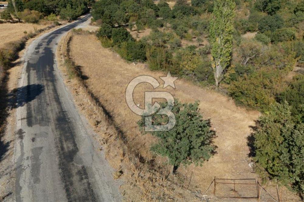 ÇANAKKALE, AYVACIK, KÜÇÜKHUSUN KÖYÜNDE ASFALTA CEPHE TARLA